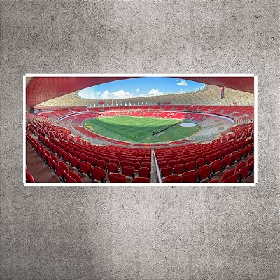 Quadro panorâmico - Estádio Beira-Rio - 90cmx45cm. BR2