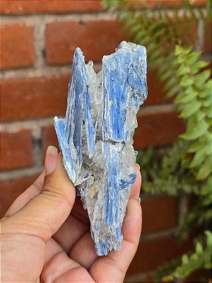 Cianita Azul - Cod. CI 83
