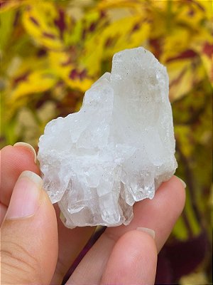 Drusa de Quartzo (Cristal) - Cod. DRU 410