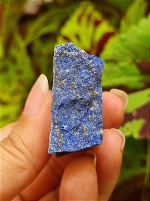 Lápis Lazuli com Pirita - Cod. VAR 851