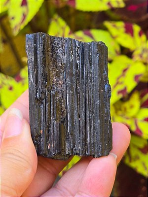 Turmalina Negra - Cod. TUN 185