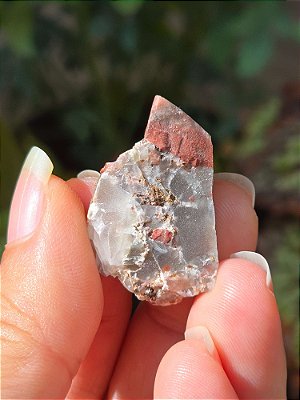 Jaspe Heliotrópio - Cod. VAR 441