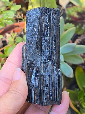Turmalina Negra - Cod. TUN 190