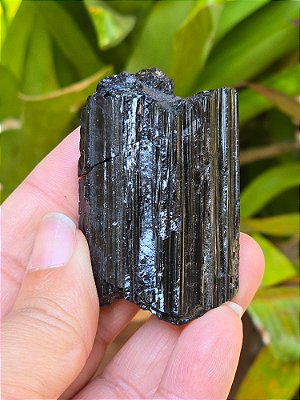 Turmalina Negra - Cod. TUN 199