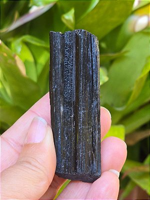 Turmalina Negra - Cod. TUN 202