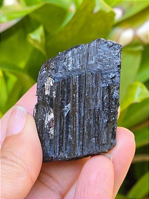 Turmalina Negra - Cod. TUN 203