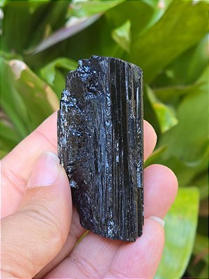Turmalina Negra - Cod. TUN 214