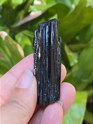 Turmalina Negra - Cod. TUN 218