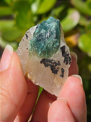 Turmalina Azul (Indicolita) na Matriz - Cod. TNM 126