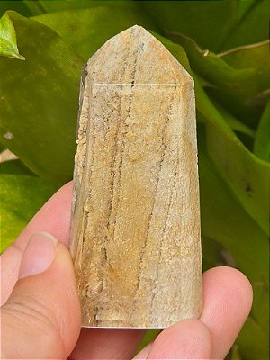 Gerador de Raiz de Quartzo Rutilado - Cod. PTA 146