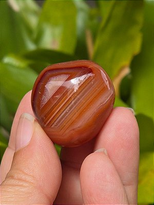 Cornalina (Ágata) Rolada