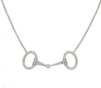 Colar bridão cravejado prata 925