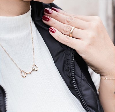 Colar bridão prata 925 banhado ouro 18k