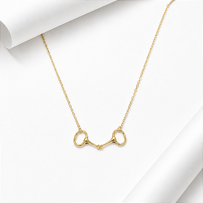 Colar bridão prata 925 banhado ouro 18k