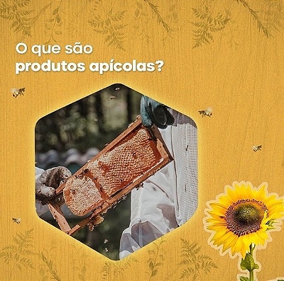 Produtos apícolas