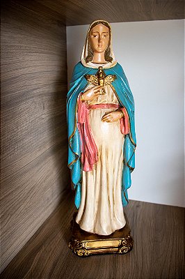 Nossa Senhora Grávida com Espírito Santo 30cm