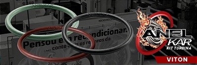 ANEL ORING ( VITON )