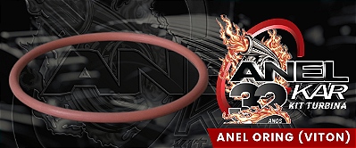 ANEL ORING ( VITON )