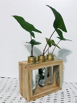 Mini Suporte Para Plantas