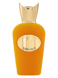 Perfume Sospiro Erba Oud