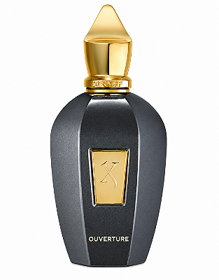 Perfume Xerjoff Ouverture 100ml