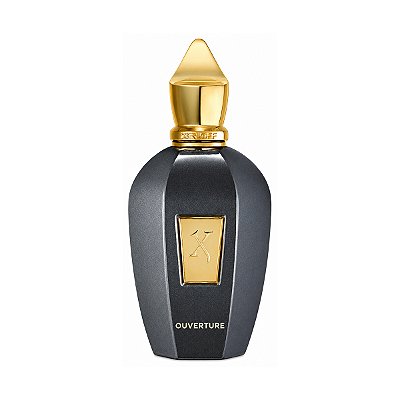 Perfume Xerjoff Ouverture 100ml