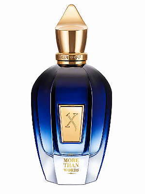 Perfume Xerjoff More Than Words 100ml