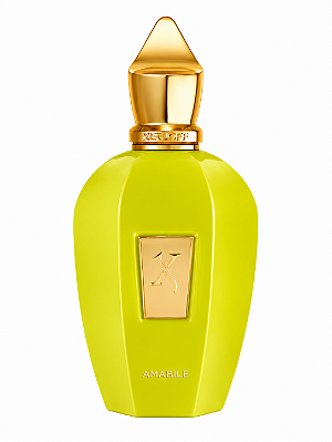 Perfume Xerjoff Amabile 100ml