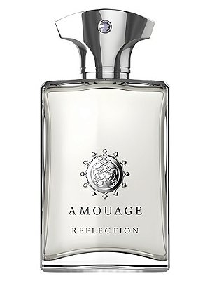 Perfume Amouage Reflection Man 100ml