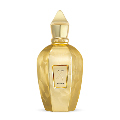 Perfume Xerjoff Accento Overdose 100ml