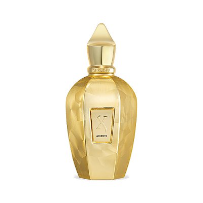 Perfume Xerjoff Accento Overdose 100ml
