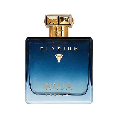Perfume Roja Elysium Pour Homme EDP 100ml