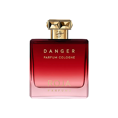 Perfume Roja Danger Pour Homme Parfum Cologne 100ml