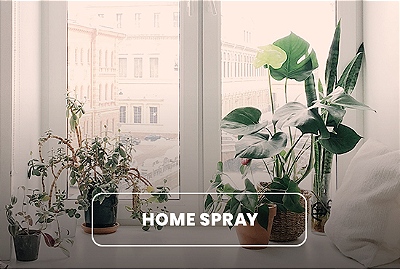 Home Spray
