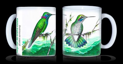 Caneca Ornitologia e Arte - Beija-flor-de-orelha-violeta (Colibri serrirostris)