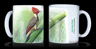 Caneca Ornitologia e Arte - Pica-pau-lindo (Celeus spectabilis)