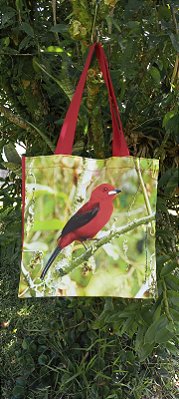 Ecobag Ana Gadini - Tiê-sangue