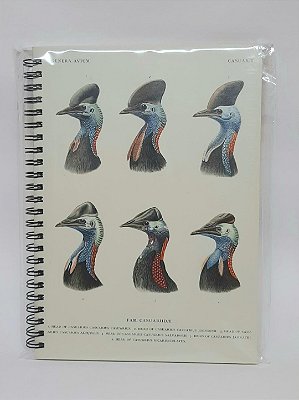 Caderno Pautado Casuares