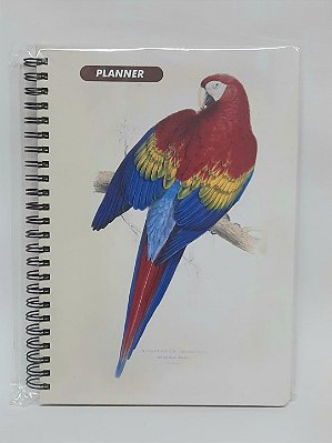 Planner Permanente Araracanga 25/26/27