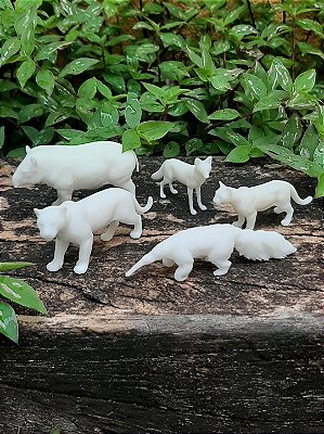 Miniaturas da Fauna Brasileira - Big Five