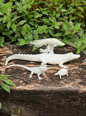 Miniaturas da Fauna Brasileira - Sangue Frio