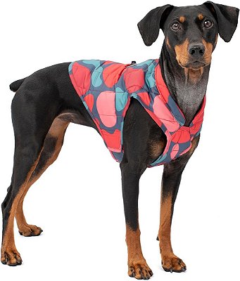 Jaqueta para cachorro Kurgo Loft, Casaco reversível para cachorro, use com arnês ou suéter, resistente à água, refletivo, casaco de inverno para cães pequenos (Lava Lamp, P)