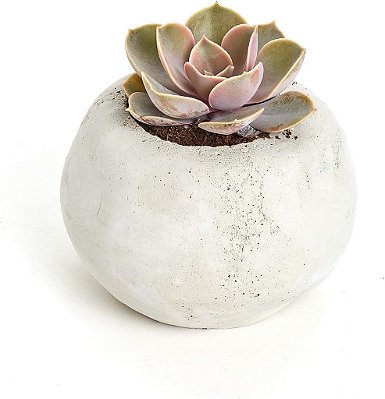 Vaso clássico de concreto para suculentas, vaso de cimento para uma única planta suculenta, cinza.