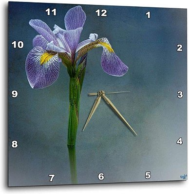 3dRose Íris Névoa Azul Floral Flor - Relógio de Parede, 10 por 10 Polegadas (DPP_55962_1)
