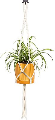 Planta aranha Greendigs em vaso de cerâmica laranja com 5 polegadas - Pré-plantada, inclui suporte de macramê
