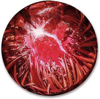 Marca de Inovações - Espelho Esférico de Aço Inoxidável (Vermelho, 10)