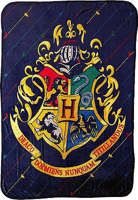 Manta Micro Raschel Northwest Harry Potter, 46 x 60, Listras da Casa
