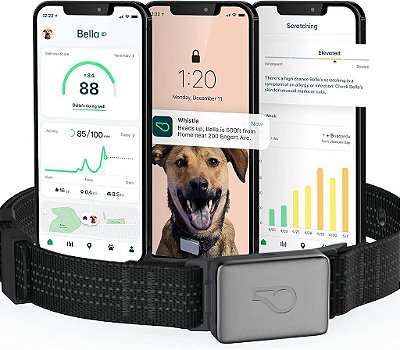 Apito GPS + Saúde + Fitness - Coleira inteligente para cães, Rastreador GPS à prova d'água para cães mais monitor de saúde e fitness, Rastreador de animais de estimação 24/7, 2 bater
