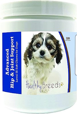 Suplemento Avançado de Suporte para Quadril e Articulações Nível III Cavachon Healthy Breeds - 120 Mastigáveis Macios para Cães - Promove uma Vida Ativa e Confortável com Glucosamina, Condroit