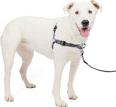 Peitoral para cães PetSafe® Deluxe Easy Walk®, Peitoral Anti-Puxão, Pare de Puxar, Ótimo para Passear e Treinar, Acolchoamento Confortável, para Cães Médios - Aço/Preto